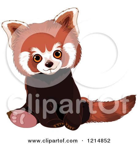 Clipart of a Cute Red Panda Sitting - Royalty Free Vector Illustration by Pushkin