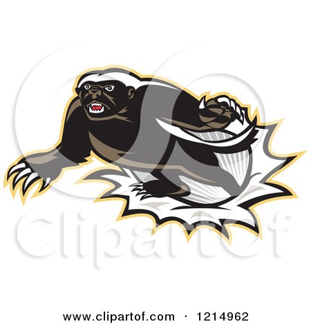 Clipart of a Honey Badger Mascot Breaking Through a Barrier - Royalty Free Vector Illustration by patrimonio