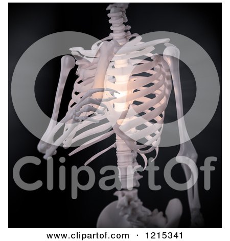 Clipart of a 3d Human Skeleton with Glowing Chest and Spine Pain, on Black - Royalty Free Illustration by Mopic