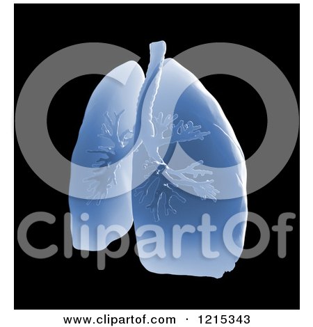 Clipart of a 3d Blue Pair of Human Lungs and Bronchi on Black - Royalty Free Illustration by Mopic