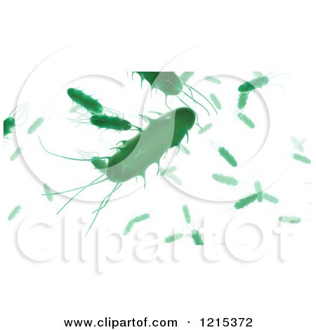 Clipart of 3d Green Bacteria with Multiple Flagella - Royalty Free Illustration by Mopic