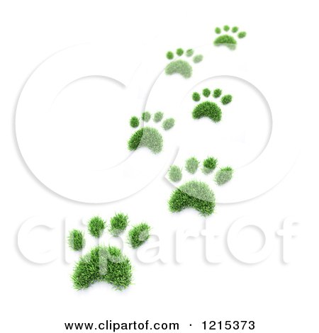 Clipart of 3d Grass Pet Paw Prints - Royalty Free Illustration by Mopic