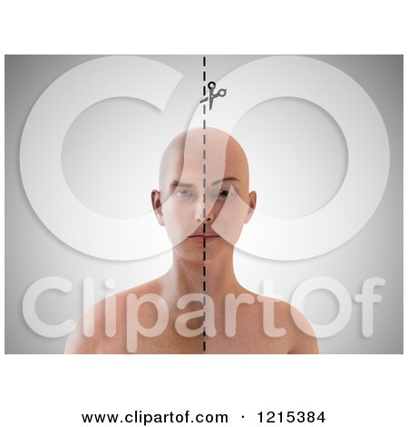 Clipart of a 3d Person Split by Gender with a Cut Line Guide - Royalty Free Illustration by Mopic