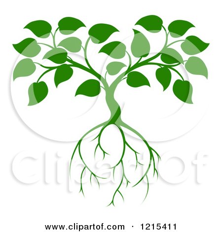 Clipart of a Green Seedling Tree with Leaves and Roots 2 - Royalty Free Vector Illustration by AtStockIllustration