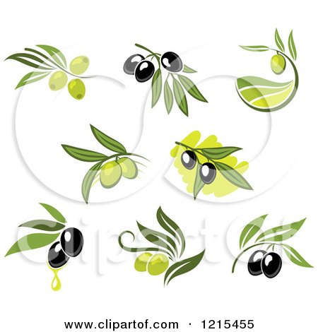 Clipart of Black and Green Olives with Leaves and Oil Drops - Royalty Free Vector Illustration by Vector Tradition SM