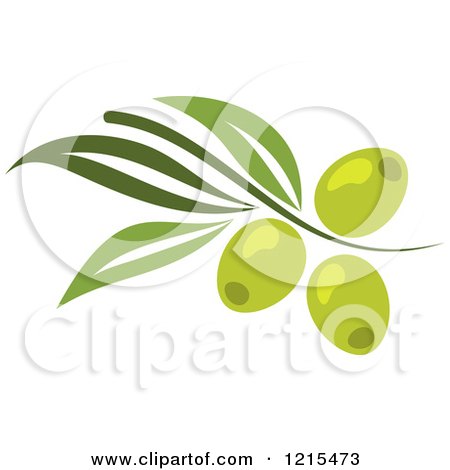 Clipart of Green Olives with Leaves - Royalty Free Vector Illustration by Vector Tradition SM