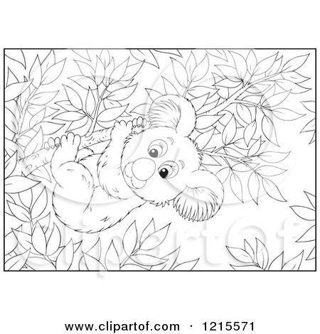 Clipart of an Outlined Koala on a Tree Branch - Royalty Free Vector Illustration by Alex Bannykh