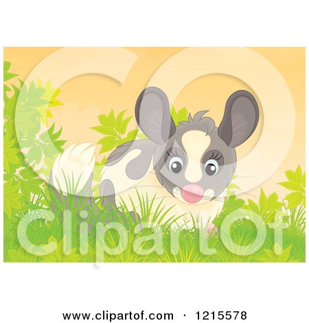 Clipart of a Cute Happy Chinchilla in Nature - Royalty Free Illustration by Alex Bannykh