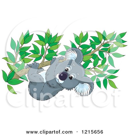 Clipart of a Cute Koala Clinging to a Tree Branch - Royalty Free Vector Illustration by Alex Bannykh