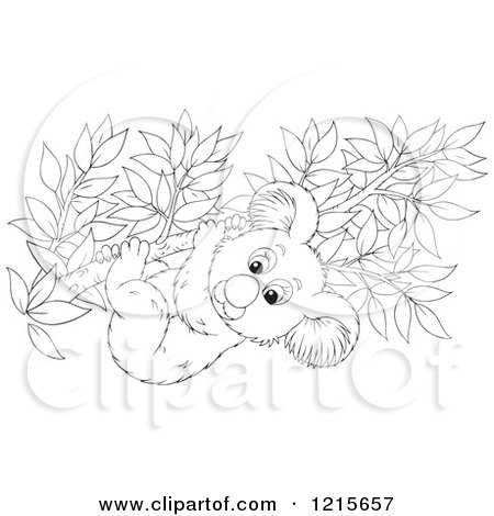 Clipart of an Outlined Cute Koala Clinging to a Tree Branch - Royalty Free Vector Illustration by Alex Bannykh