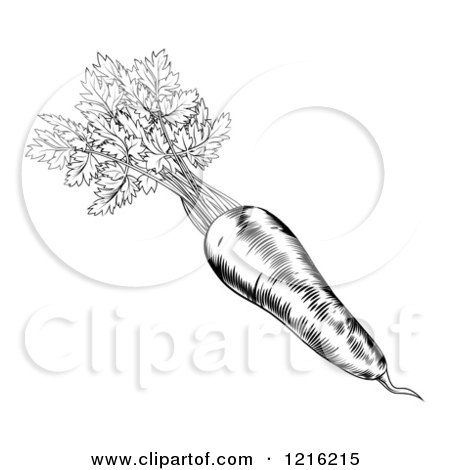 Clipart of a Vintage Woodcut Styled Carrot with Greens - Royalty Free Vector Illustration by AtStockIllustration