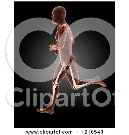 Clipart of a 3d Running Xray Man with Visible Skeleton and Highlighted Knees over Black - Royalty Free Illustration by KJ Pargeter
