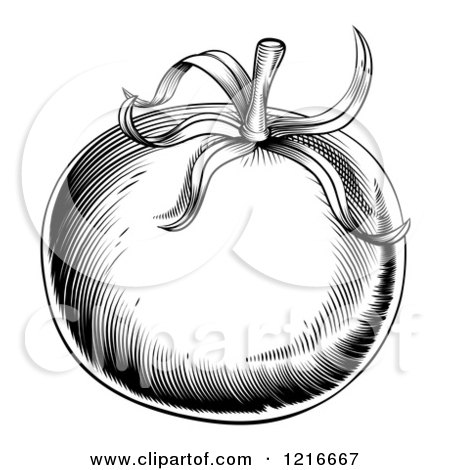 Clipart of a Vintage Woodcut Styled Tomato in Black and White - Royalty Free Vector Illustration by AtStockIllustration