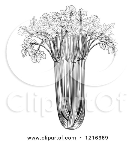 Clipart of a Vintage Woodcut Styled Bunch of Celery in Black and White - Royalty Free Vector Illustration by AtStockIllustration