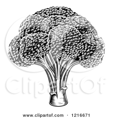 Clipart of Vintage Woodcut Styled Broccoli in Black and White - Royalty Free Vector Illustration by AtStockIllustration