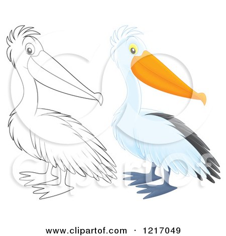 Clipart of a Cute Airbrushed Pelican in Color and Outline - Royalty Free Illustration by Alex Bannykh