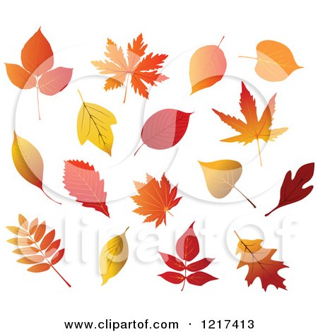 Clipart of a Colorful Autumn Leaves - Royalty Free Vector Illustration by Vector Tradition SM