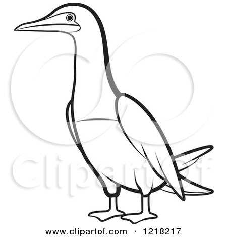 Clipart of an Outlined Bobo Booby Bird - Royalty Free Vector Illustration by Lal Perera