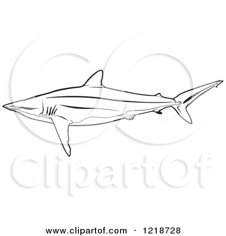 Clipart of a Black and White Silky Shark - Royalty Free Vector Illustration by dero