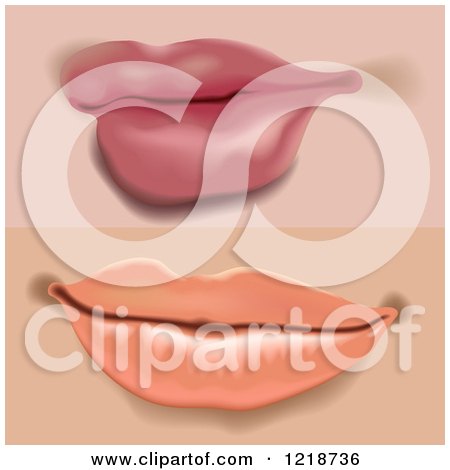 Clipart of Female Lips 2 - Royalty Free Vector Illustration by dero