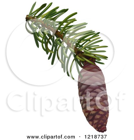 Clipart of a Pine Cone on a Branch - Royalty Free Vector Illustration by dero