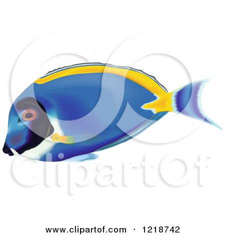 Clipart of a Powder Blue Tang Tropical Fish - Royalty Free Vector Illustration by dero