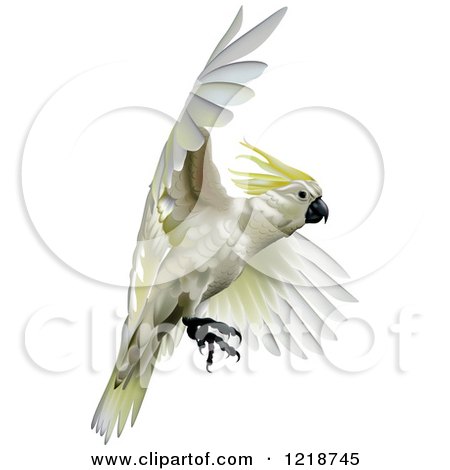 Clipart of a Sulphur Crested Cockatoo - Royalty Free Vector Illustration by dero