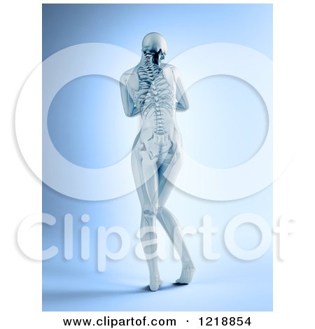 Clipart of a 3d Rear View of a Female with Visible Skeleton - Royalty Free Illustration by Mopic