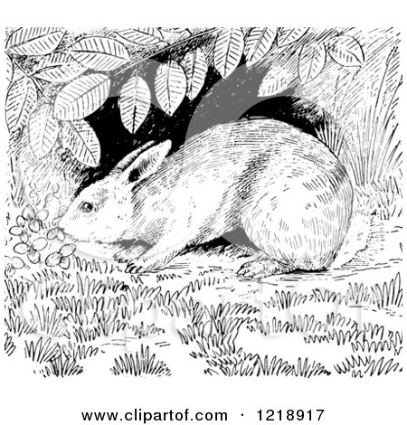 Clipart of a Black and White Cottontail Rabbit Under a Shrub - Royalty Free Vector Illustration by Picsburg