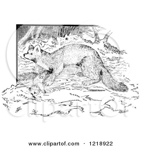 Clipart of a Black and White Marten - Royalty Free Vector Illustration by Picsburg