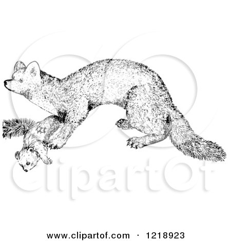 Clipart of a Black and White Marten - Royalty Free Vector Illustration by Picsburg