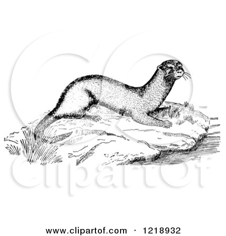 Clipart of an Otter on a River Rock - Royalty Free Vector Illustration by Picsburg