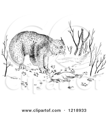 Clipart of a Black and White Bobcat with Rabbit As Prey - Royalty Free Vector Illustration by Picsburg