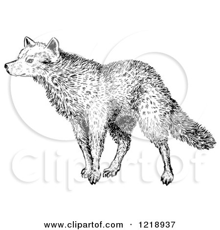 Clipart of a Black and White Sniffing Wolf - Royalty Free Vector Illustration by Picsburg