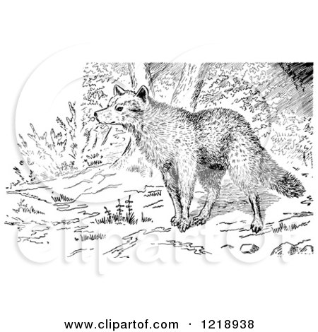 Clipart of a Black and White Wolf in the Forest - Royalty Free Vector Illustration by Picsburg