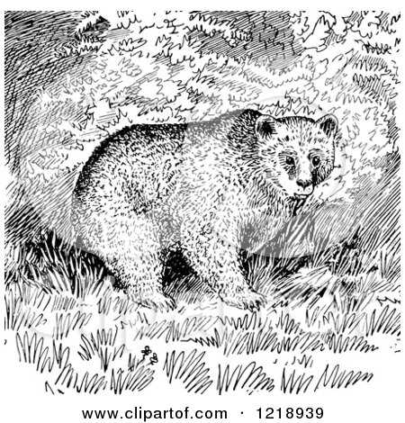 Clipart of a Black and White Grizzly Bear in the Woods - Royalty Free Vector Illustration by Picsburg