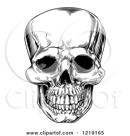 Clipart of a Black and White Vintage Human Skull - Royalty Free Vector Illustration by AtStockIllustration