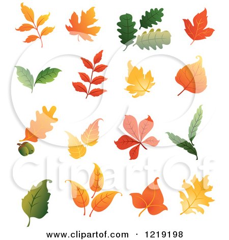 Clipart of Colorful Autumn Leaves 2 - Royalty Free Vector Illustration by Vector Tradition SM