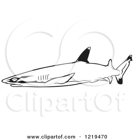 Clipart of a Black and White Whitetip Reef Shark - Royalty Free Vector Illustration by dero