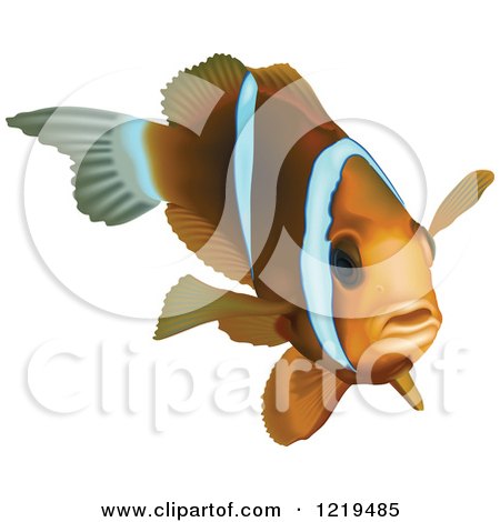 Clipart of a Barrier Reef Anemonefish - Royalty Free Vector Illustration by dero