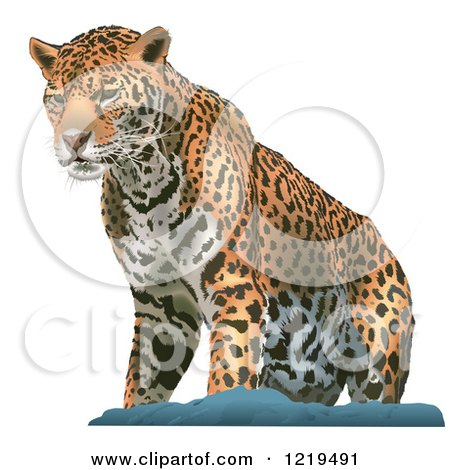 Clipart of a Leopard on a Rock - Royalty Free Vector Illustration by dero