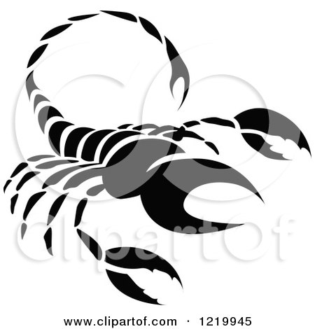  Gambar  Logo Zodiak  Scorpio Logo Keren