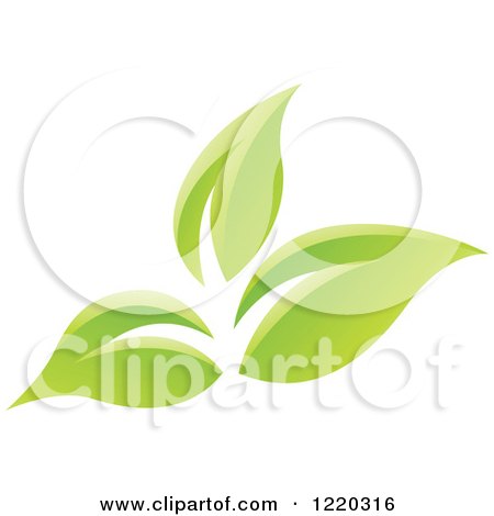 Clipart of Green Organic Leaves 6 - Royalty Free Vector Illustration by cidepix