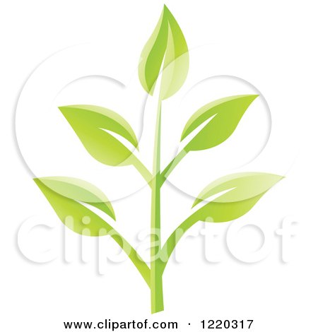Clipart of Green Organic Leaves 2 - Royalty Free Vector Illustration by cidepix