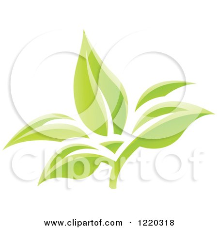 Clipart of Green Organic Leaves 3 - Royalty Free Vector Illustration by cidepix