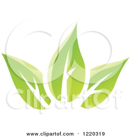 Clipart of Green Organic Leaves 5 - Royalty Free Vector Illustration by cidepix