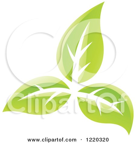 Clipart of Green Organic Leaves 4 - Royalty Free Vector Illustration by cidepix