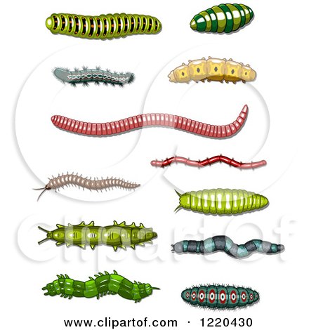 Clipart of Worms and Caterpillars - Royalty Free Vector Illustration by Vector Tradition SM