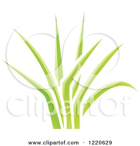 Clipart of a Patch of Green Grass - Royalty Free Vector Illustration by cidepix