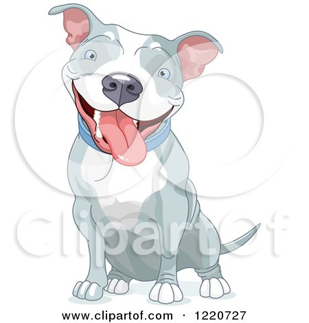 Clipart of a Cute Happy Gray and White Pit Bull Dog Sitting - Royalty Free Vector Illustration by Pushkin